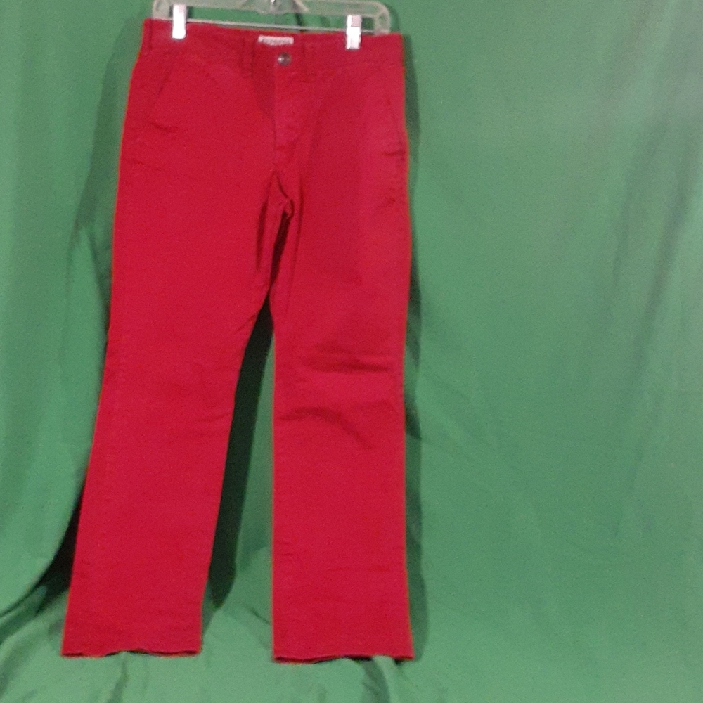 Express sz 29/30 red photographer pants